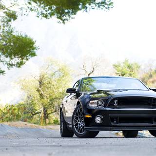2013 Mustang wallpaper