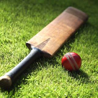 Cricket sports wallpaper