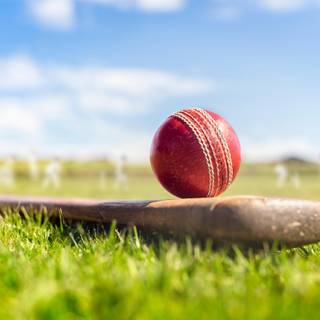 Cricket sports wallpaper