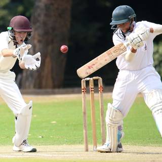Cricket sports wallpaper