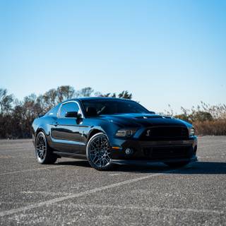 2013 Mustang wallpaper