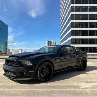 2013 Mustang wallpaper