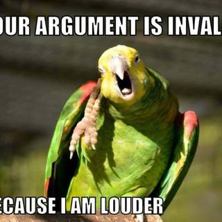 Bird meme wallpaper
