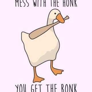Bird meme wallpaper