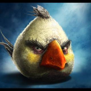 Bird meme wallpaper