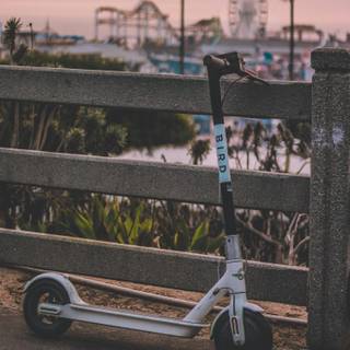 Freestyle scootering wallpaper