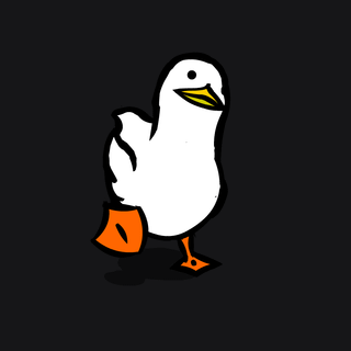 Bird meme wallpaper
