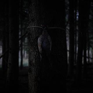 Bambi: The Reckoning wallpaper