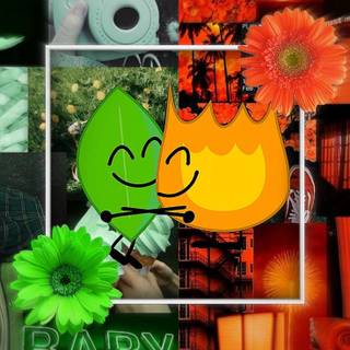 BFDI Leafy and Firey wallpaper