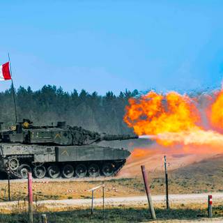 Canadian Leopard 2 wallpaper