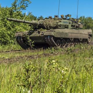 Canadian Leopard 2 wallpaper