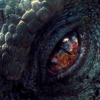 Indominus Rex eye wallpaper