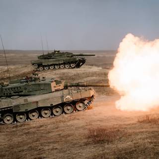 Canadian Leopard 2 wallpaper