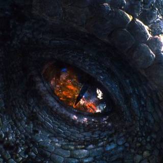 Indominus Rex eye wallpaper
