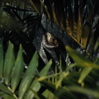 Indominus Rex eye wallpaper