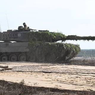 Canadian Leopard 2 wallpaper