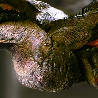 Kilgharrah wallpaper