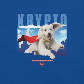 Superman and Krypto wallpaper