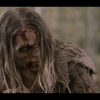 Antonia Whillans wallpaper