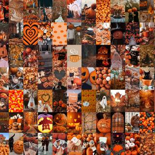 Pink and orange Halloween laptop wallpaper