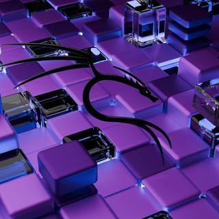 Kali Linux purple wallpaper