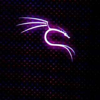 Kali Linux purple wallpaper