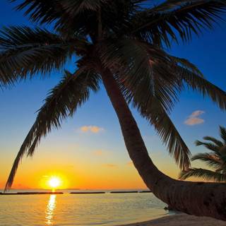 Abstract beach wallpaper