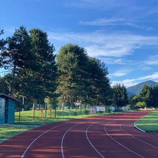 Athletics track wallpaper