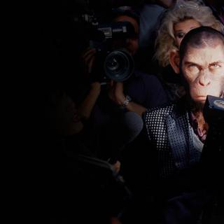 Better Man wallpaper