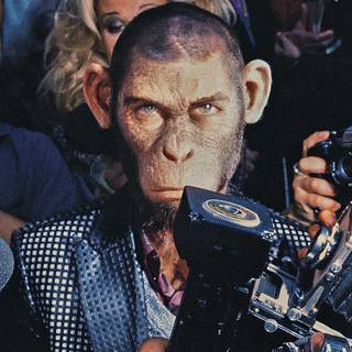 Better Man wallpaper