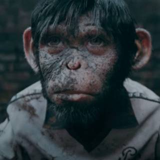 Better Man wallpaper