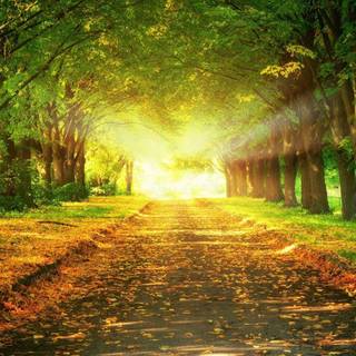 End of the road wallpaper