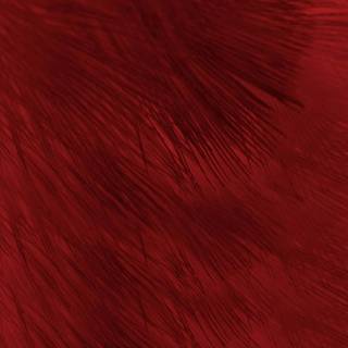 Maroon red wallpaper