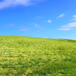 Windows hill wallpaper