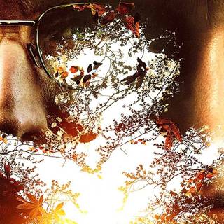 The Chestnut Man wallpaper