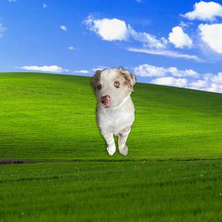 Windows hill wallpaper