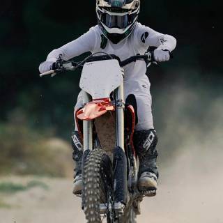 Stark Varg wallpaper