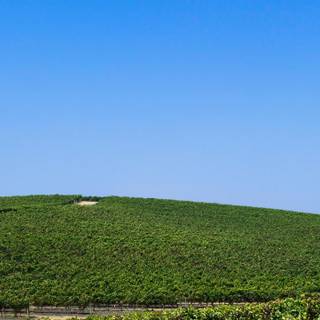 Windows hill wallpaper