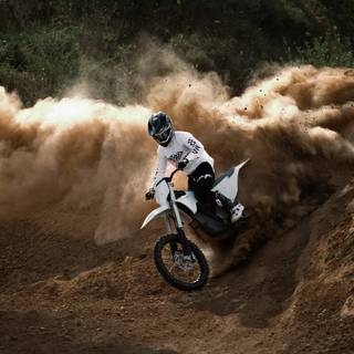 Stark Varg wallpaper