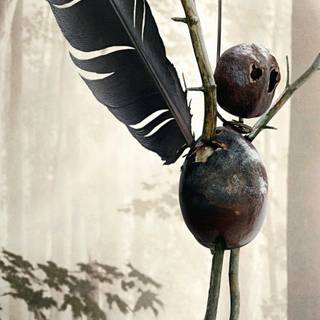 The Chestnut Man wallpaper