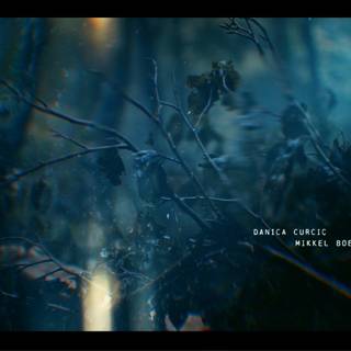 The Chestnut Man wallpaper