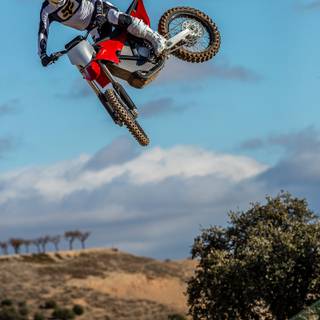 Stark Varg wallpaper