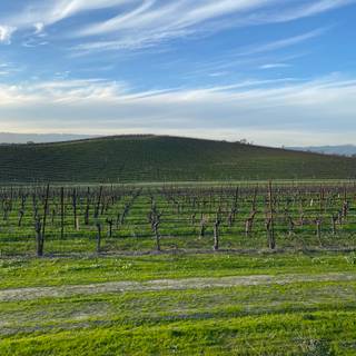 Windows hill wallpaper