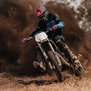 Stark Varg wallpaper