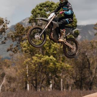 Stark Varg wallpaper