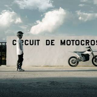 Stark Varg wallpaper