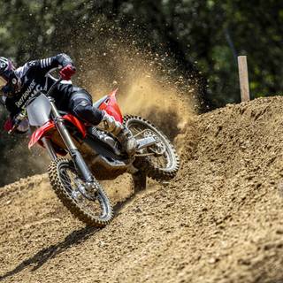 Stark Varg wallpaper