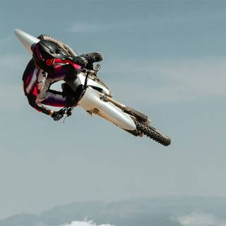 Stark Varg wallpaper