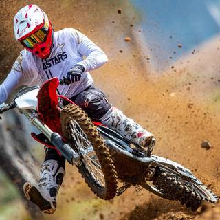 Stark Varg wallpaper