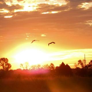 Morning time wallpaper